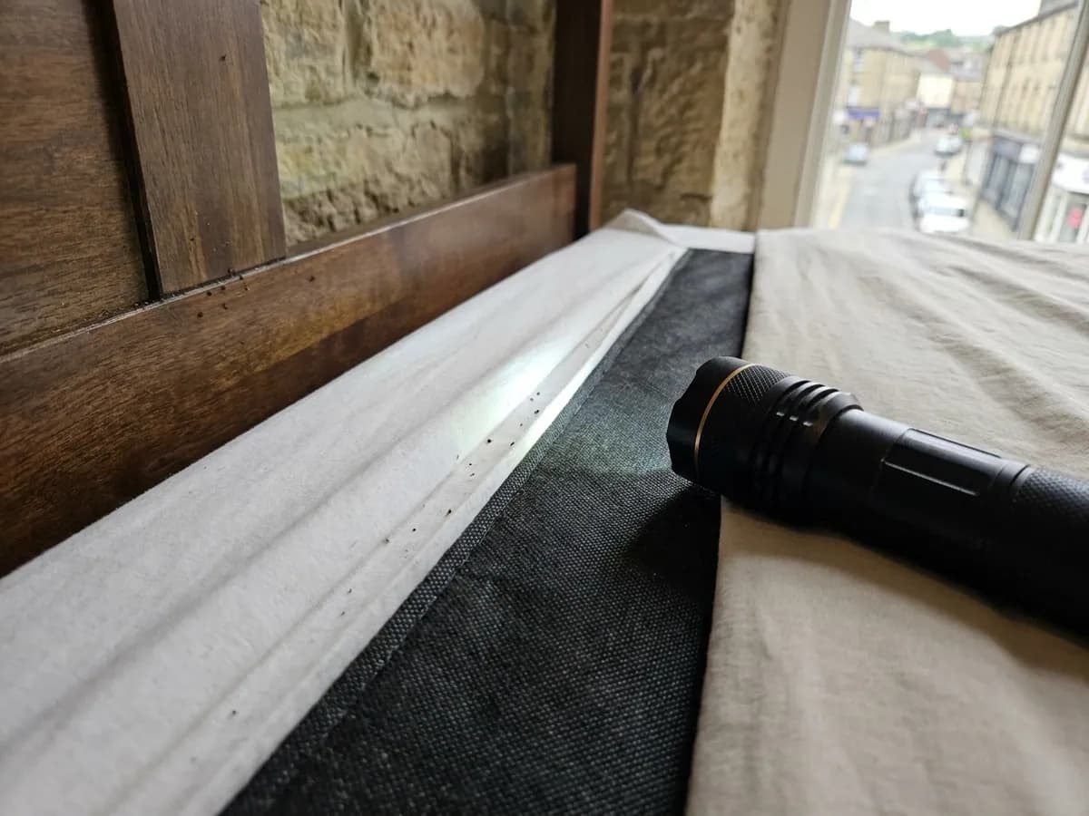 Mattress seam evidence checked during bed bug control in Halifax