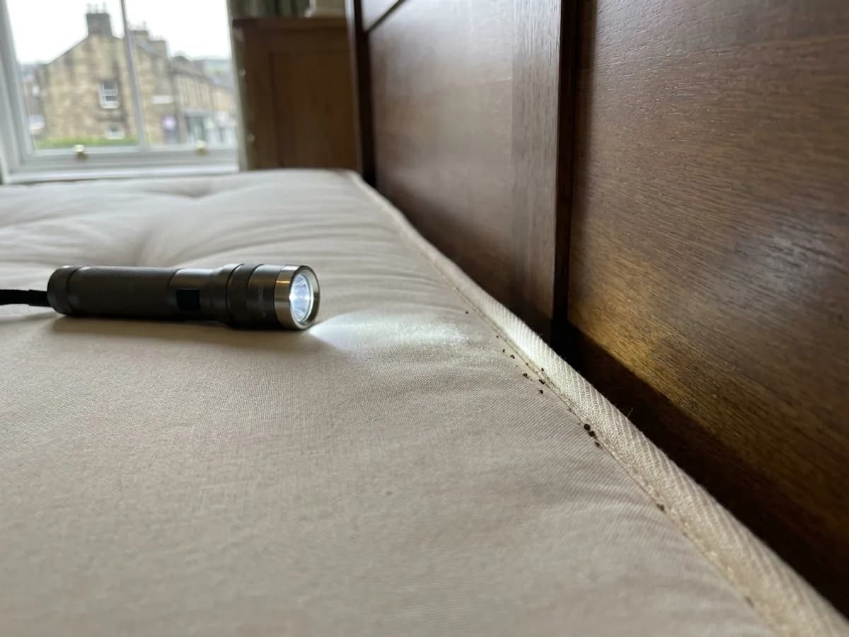Mattress seam evidence checked during bed bug control in Ilkley