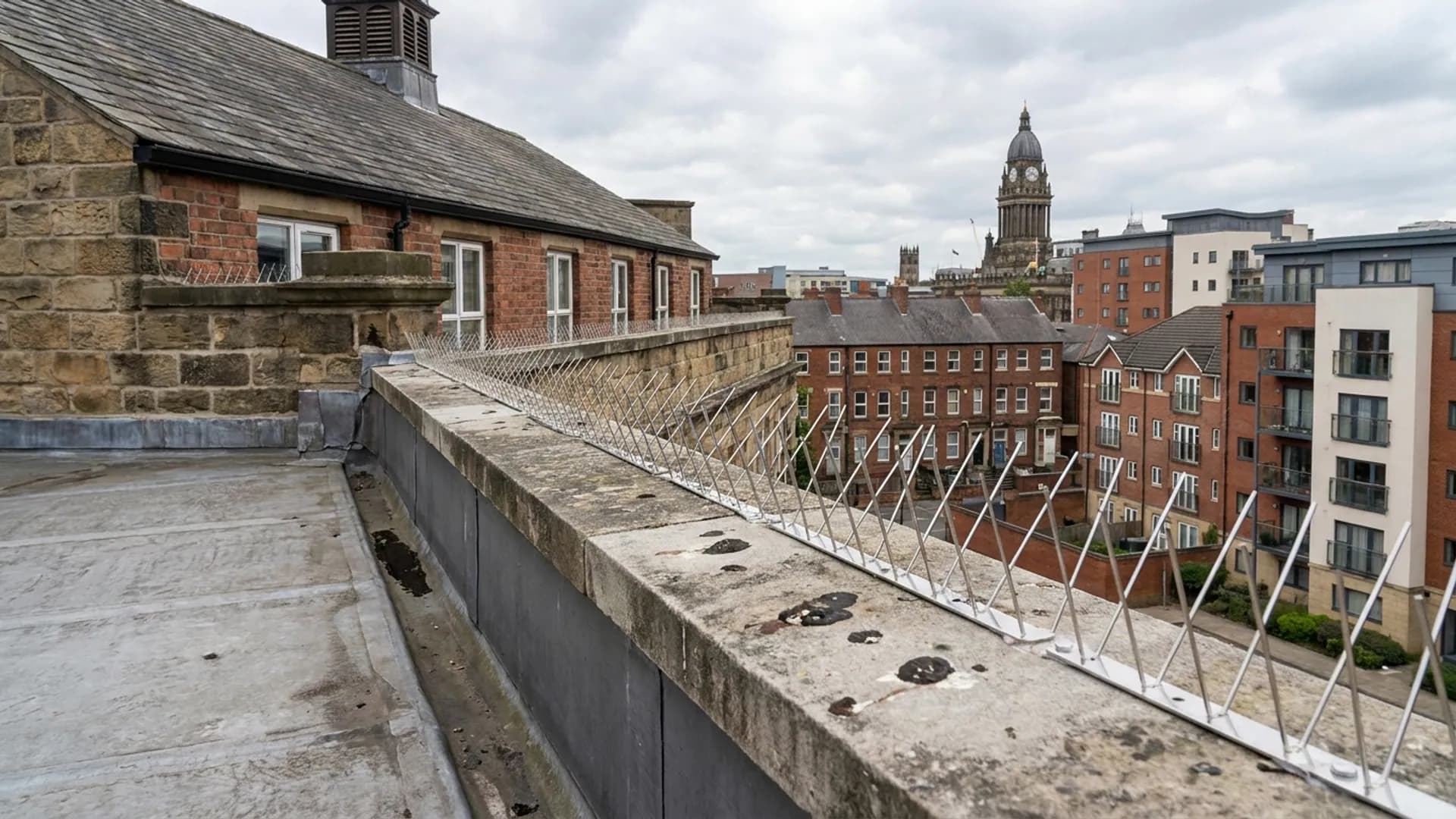 Bird proofing spikes and fouling marks on a Leeds roofline
