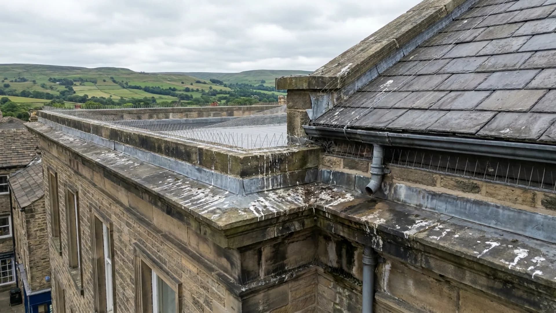 Bird proofing spikes and fouling marks on a Otley roofline
