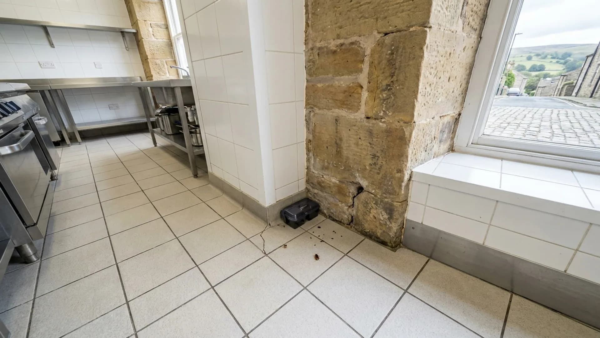 Cockroach monitoring point in a Otley commercial kitchen