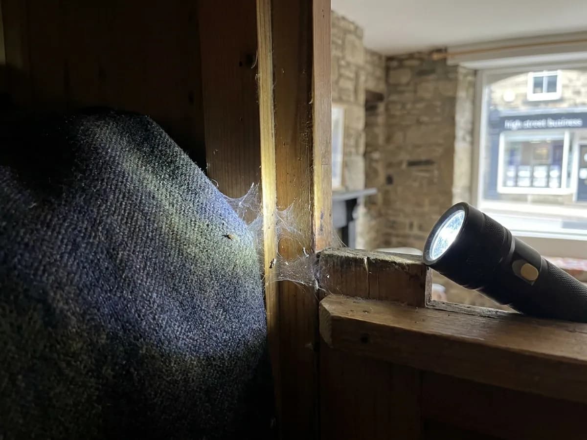 Textile moth webbing and fabric damage checked in Ilkley