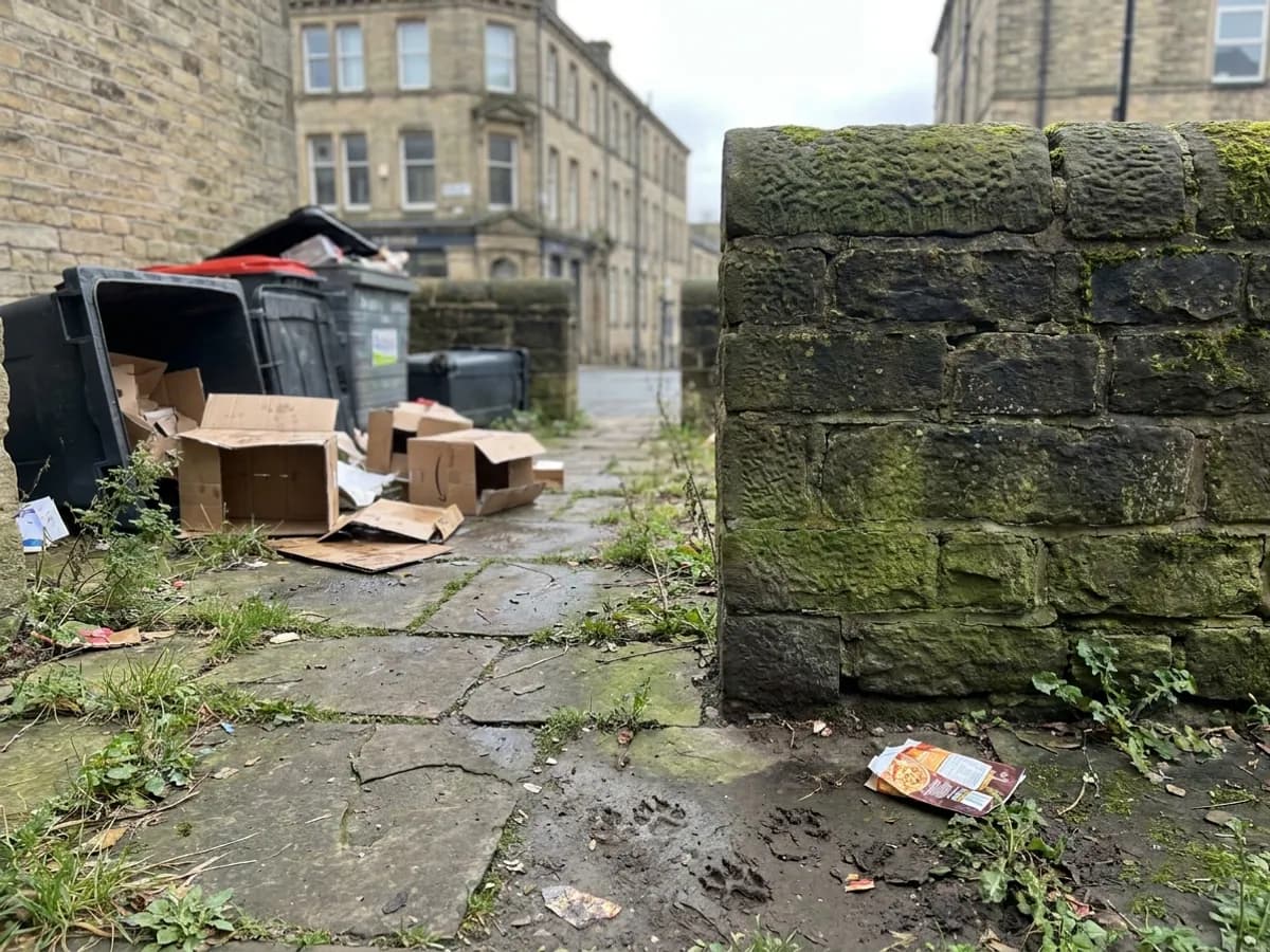Fox activity signs checked around a waste and boundary area in Halifax