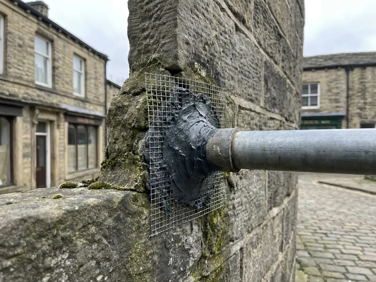 Service gap and exclusion material inspected during rodent proofing in Halifax