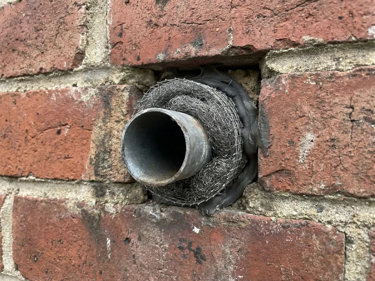 Service gap and exclusion material inspected during rodent proofing in Otley